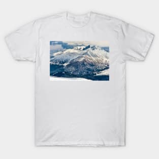 Snow Palaces of Trail Ridge Road T-Shirt